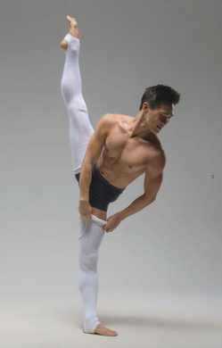 LYNA Calentadores largos BALLET ROSA